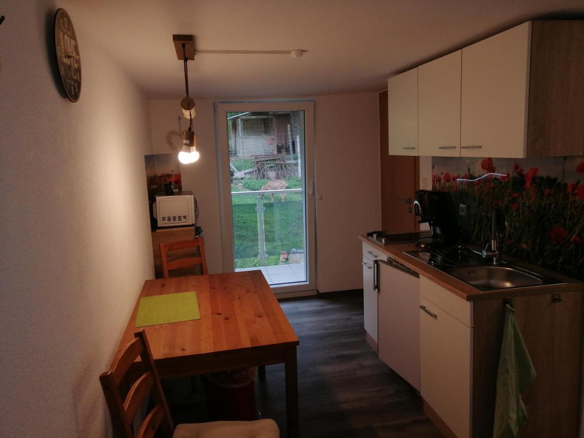 Kleine Wohnung Wutoschingen 外观 照片