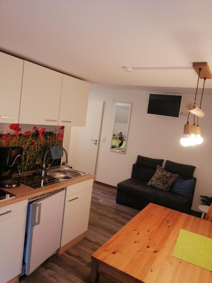 Kleine Wohnung Wutoschingen 外观 照片